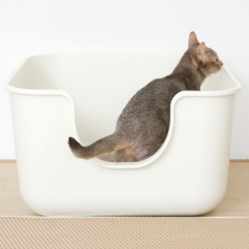 강집사 항균 스퀘어_이미지