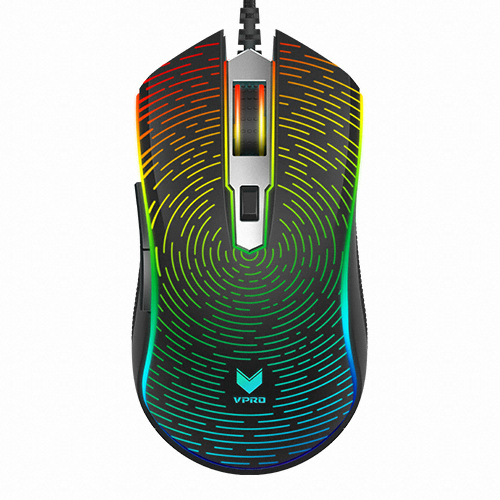 RAPOO VPro V25s REAL