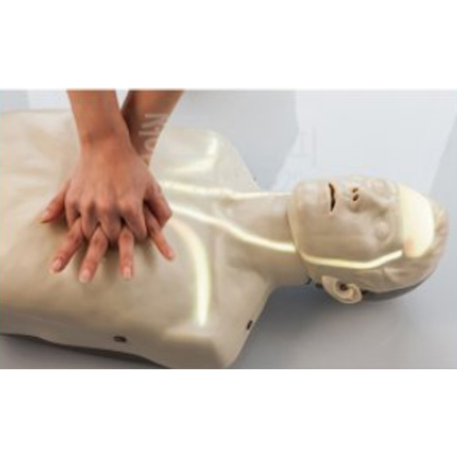 INNOSONIAN 심폐소생 마네킹 브레이든 혈행형 IM13K_이미지