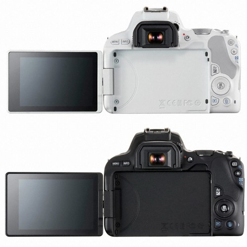 ĳ�� EOS 200D �ٵ�