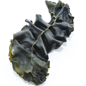 연희건어물 완도 미역귀 300g [1개]