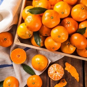 바른식탁 제주 노지감귤 10kg