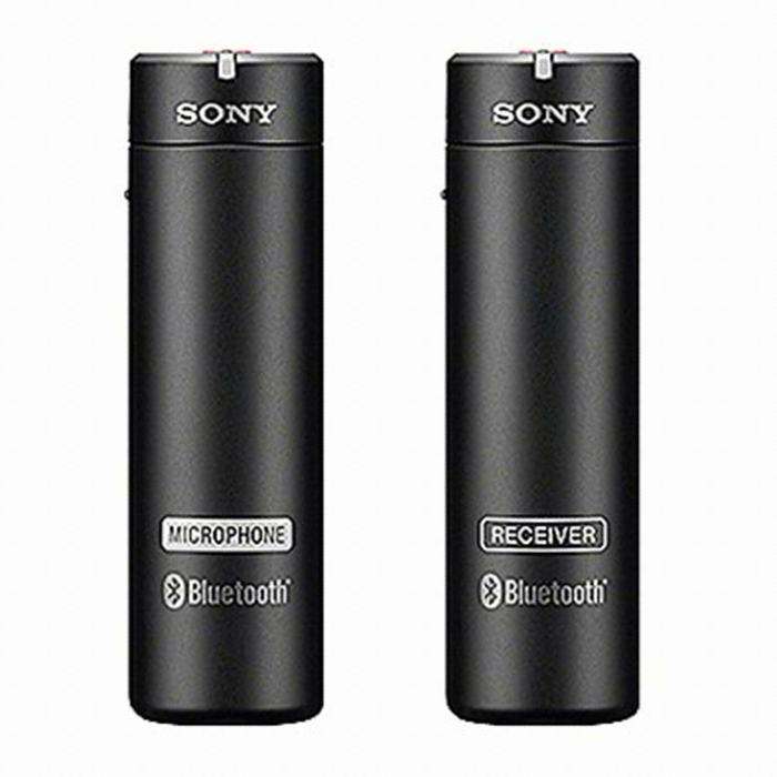 SONY ECM-AW4 (해외구매)_이미지