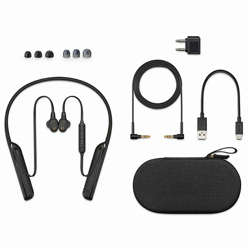 SONY WI-1000XM2