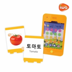 비앤씨 아이와패드 말문이 트이는 언어학습 찢어지지않는 플래시 카드