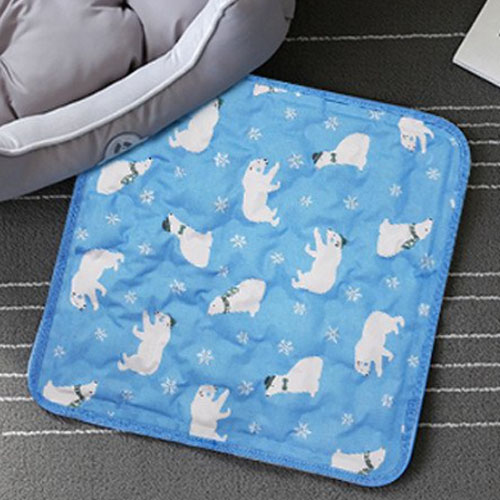 마이프랜즈 마이또 폴라베어 애견 강아지 쿨매트이미지입니다. 누르면 해당 게시물로 새창이동합니다.