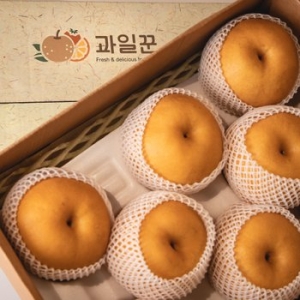 과일꾼 햇 나주배 가정용 10~12과 5kg (1개)_이미지