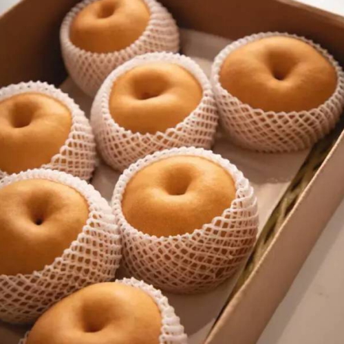 과일꾼 나주배 가정용 10~12과 5kg