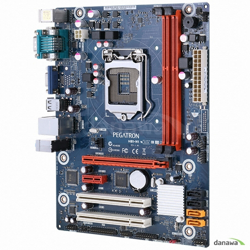 PEGATRON H81-M1 PLUS (벌크) 인텍앤컴퍼니_이미지