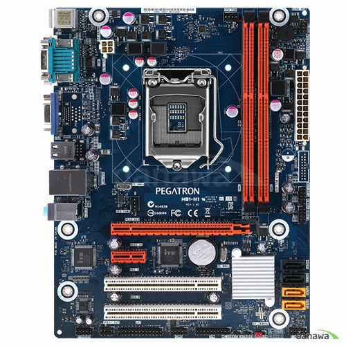 PEGATRON H81-M1 PLUS (벌크) 인텍앤컴퍼니_이미지