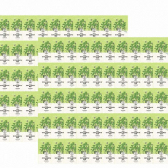엘렌실라 파르메티크 센텔라 아시아티카 마스크 (100매)