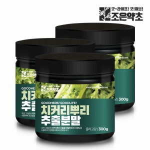 건우 조은약초 치커리 뿌리 추출물 100% 분말 가루 300g (3개)_이미지