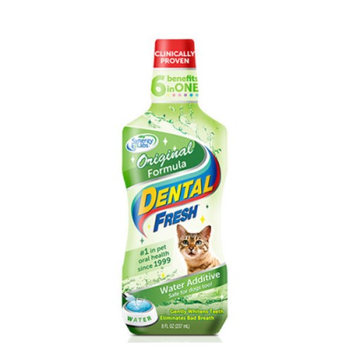 시너지랩 덴탈 후레쉬 캣 오리지널 237ml (2개)