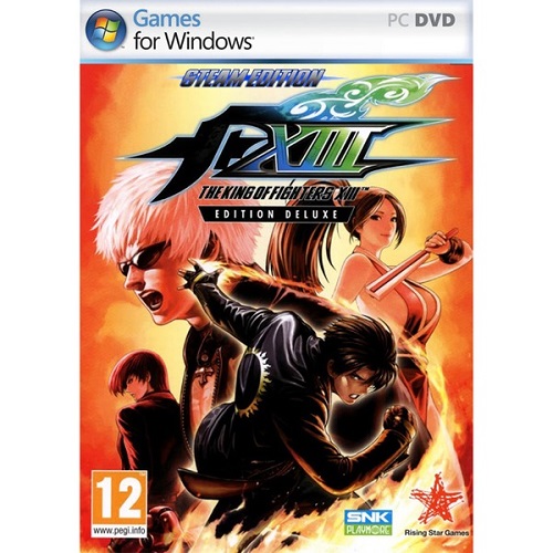 더 킹 오브 파이터즈 13 PC