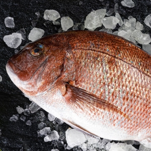 GFresh �뿵 ���� ���� �Ѹ��� ���� ȸ 2kg���� ������ �뿵����