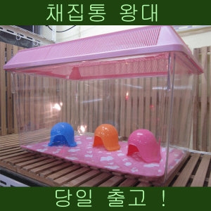 대일상사 채집통 왕대 햄스터집.고슴도치집.곤충집.소라게집_이미지