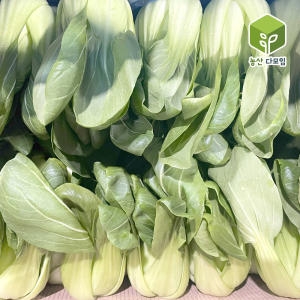 국내산 청경채 4kg