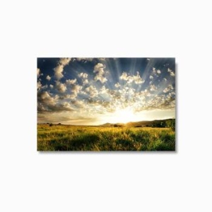 �Ķ� �ϴð� �� No1 ǳ�� ���׸��� ���� 30ȣ 91x65cm S5629066