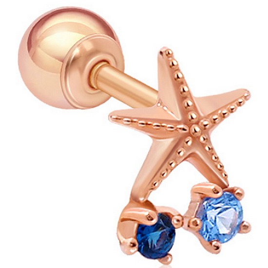 골드팡 14k 썸머스타피쉬 피어싱이미지입니다. 누르면 해당 게시물로 새창이동합니다.