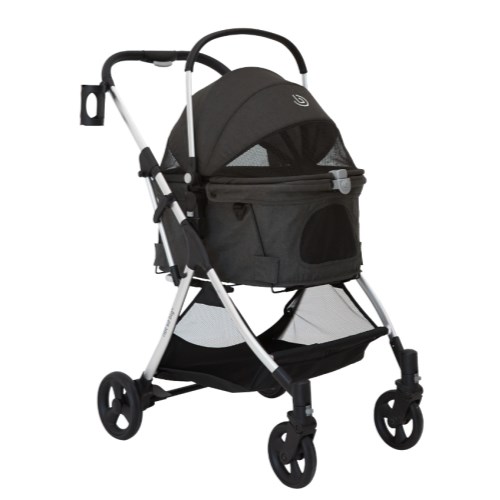 낫쏘빅 도로시 플러스