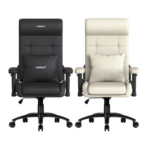 ���н� ARENA ����ü�� �繫�� ��ǻ�� ����