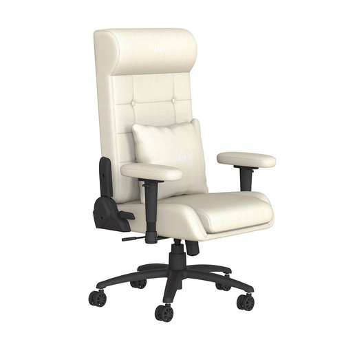 ���н� ARENA ����ü�� �繫�� ��ǻ�� ����