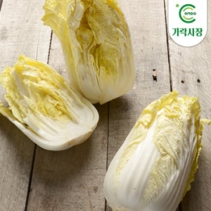 온도씨 가락시장 경매 알배기 1통이미지입니다. 누르면 해당 게시물로 새창이동합니다.