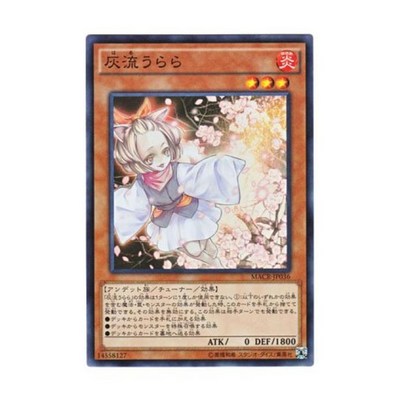 �ڳ��� ����� �Ϻ��� ���� MACR-JP036 Ash Blossom Joyous Spring ȸ�� ���� ���� ����