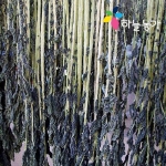 �ϴó� �������� ���÷��� 50g