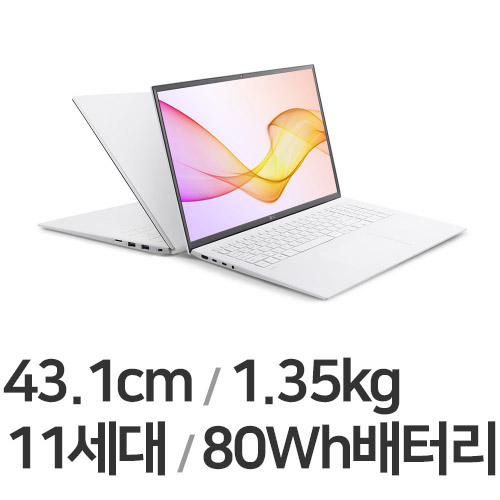 LG전자 2021 그램17 17ZD90P-GX76K WIN10 (SSD 256GB)
