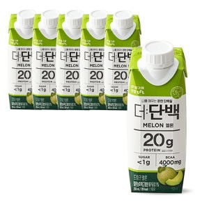 빙그레 더단백 드링크 멜론 250ml (6개)
