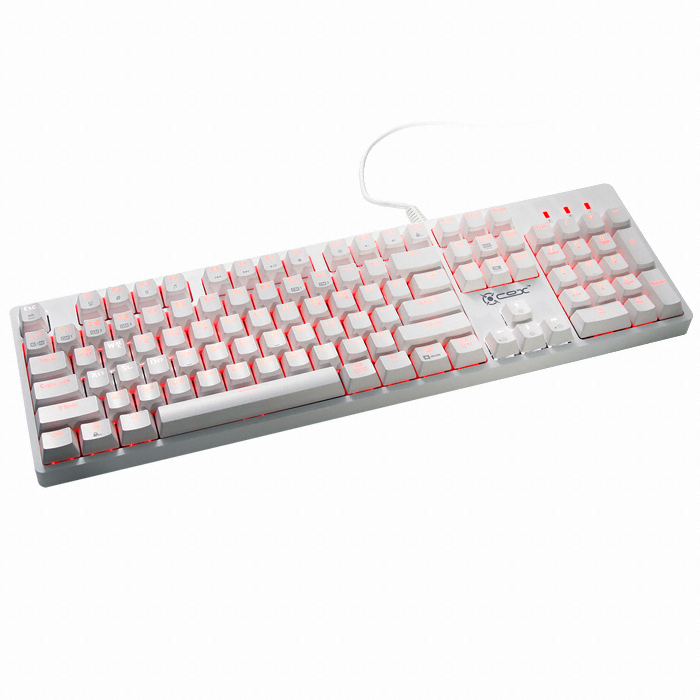 COX CK800 ī�� ���� ������� LED ��ü��