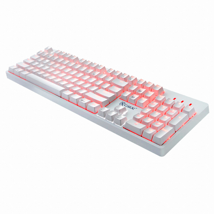 COX CK800 ī�� ���� ������� LED ��ü��