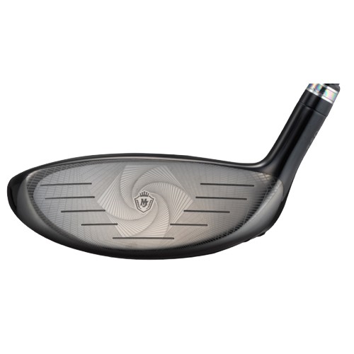 ����� ������Ƽ 2023 �ξ� ���� ����� �����̿��