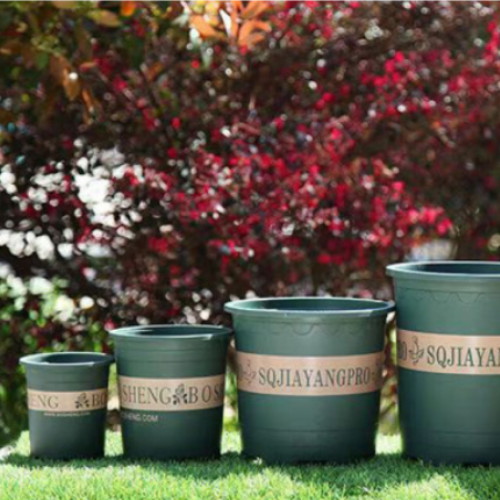 �ھ�� ���� ��� �ö�ƽ ȭ�� ����