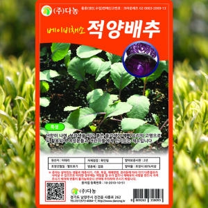 베이비(샐러드)적양배추씨앗 10g