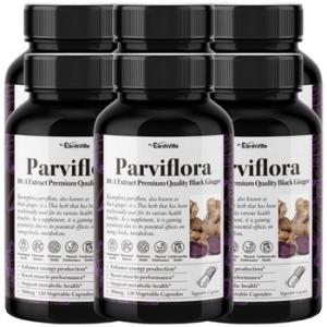 어스빌 파비플로라 흑생강 블랙진저 500mg 120캡슐 (6개)