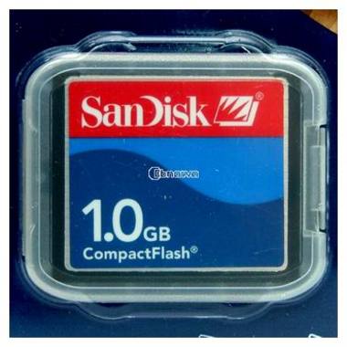 Sandisk CF 비정품 (1GB)