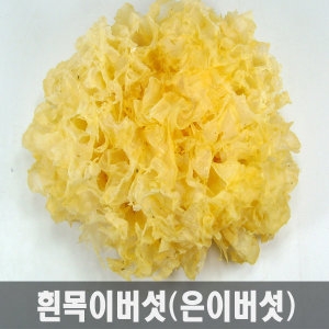  백목이버섯/흰목이버섯/표고버섯/노루궁뎅이/은이
