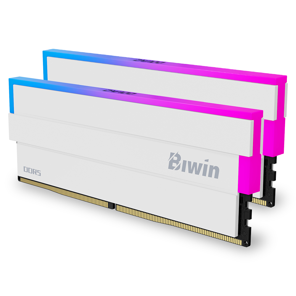BIWIN DDR5-6000 CL28 DW100 RGB 화이트 패키지 (48GB(24Gx2))_이미지