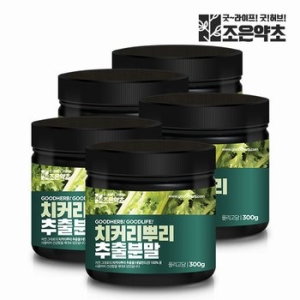 건우 조은약초 치커리 뿌리 추출물 100% 분말 가루 300g (5개)_이미지