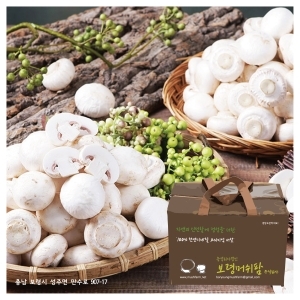 명품양송이농장 보령 명품 양송이버섯 파지 2kg [1개]