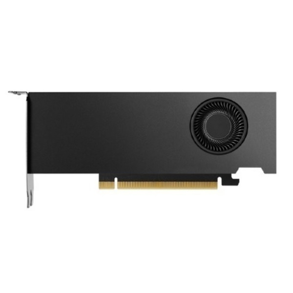 NVIDIA RTX 2000 Ada Generation D6 16GB (병행수입)