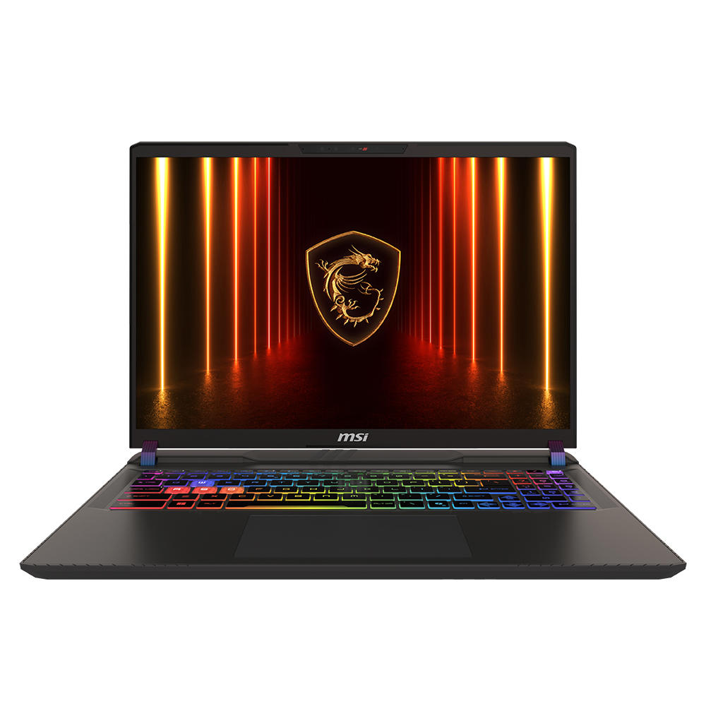MSI 벡터 16 HX AI A2XWIG-U9 QHD+ WIN11 (SSD 4TB)