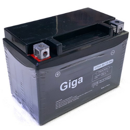 대림 GIGA 배터리 GTX9A-BS이미지입니다. 누르면 해당 게시물로 새창이동합니다.