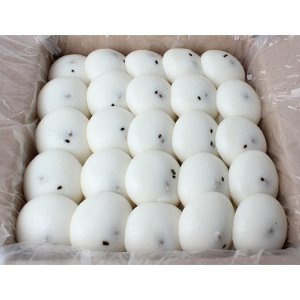 [�Ҹ�] ���� �ܱ����� ������ ���� ���� ����