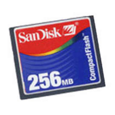 Sandisk CF 비정품 (256MB)