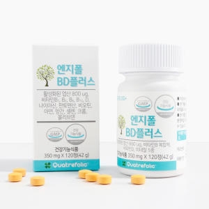 엔지폴 BD 플러스 350mg 120정
