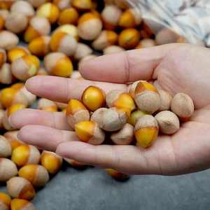 강천골농원 깐은행 중 500g (3개)_이미지