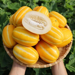 성주 참외 소과 20-35과 5kg